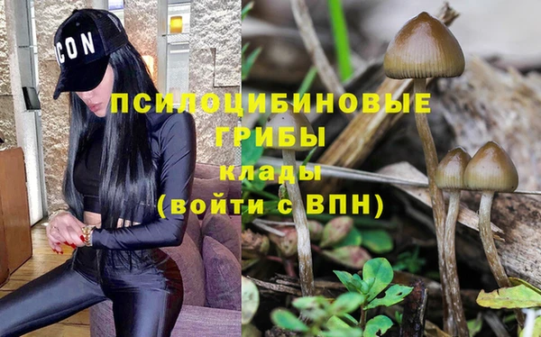 первитин Медногорск